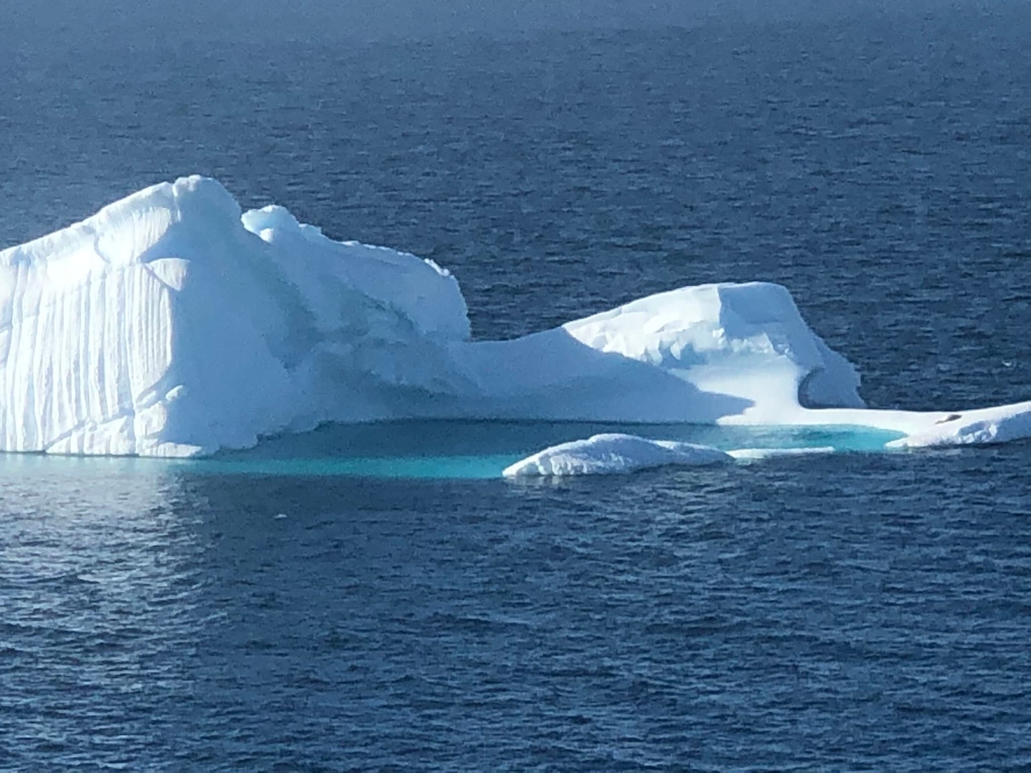 Antarctica: 5 Things That Will Change How You Think About the World